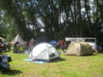 Kratzm�hle 2011