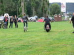 Kratzm�hle 2011