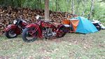 Indian Summer 2022 in Tauberbischofsheim